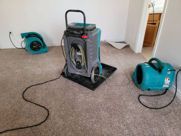 Best Professional water damage repair  in Herscher, IL