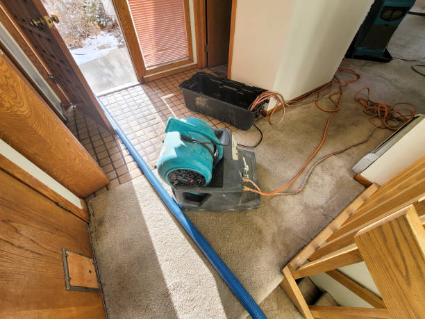 Best Ceiling water damage repair  in Herscher, IL